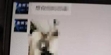 成人向视频是什么原因,揭秘成人向视频生成背后的技术奥秘