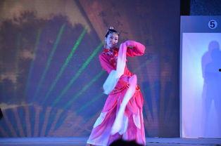 舞蹈服女成人 古装视频,成人古装舞蹈服风采展示