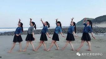 成人用哪种毽子好呢视频,揭秘最适合的毽子选择