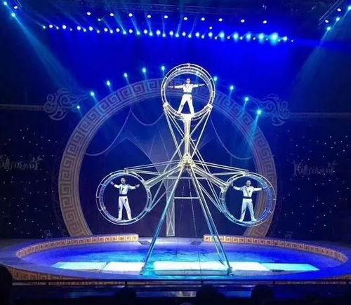 成人开场舞大旗视频大全,舞动魅力，开启派对狂欢