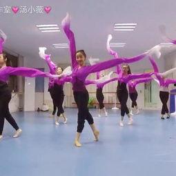 成人舞中国舞蹈视频大全,尽览成人舞中国舞蹈风采