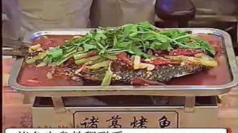成人烤鱼视频大全播放,热门视频大盘点，解锁美味烹饪技巧